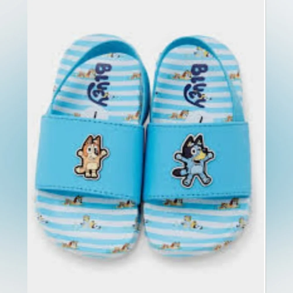 Bluey Toddler Girls/Boys Slides